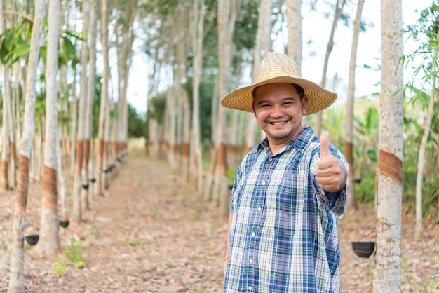 Фермер агроном Плантация каучуковых деревьев
