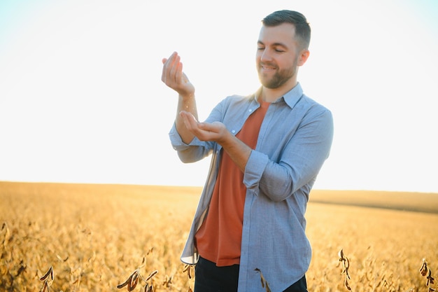 Farmer or agronomist inspecting soybean field