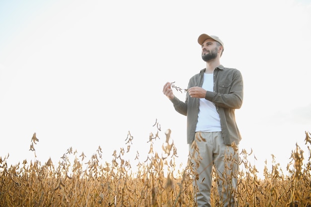 Farmer agronomist on a soybean field Agricultural industry