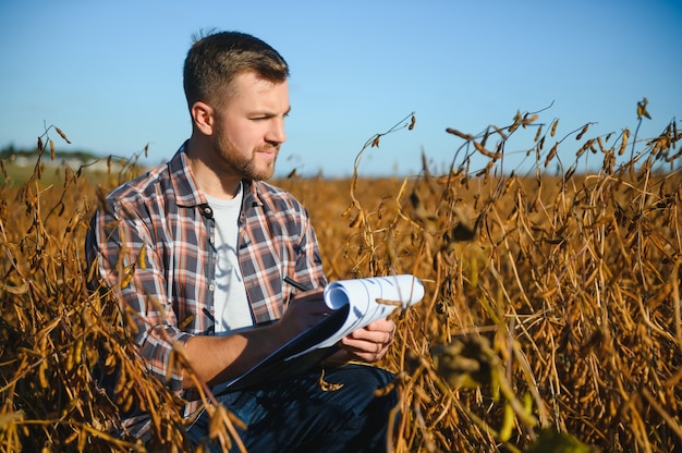 Farmer agronomist in soybean field checking crops before harvest. Organic food production and cultivation.