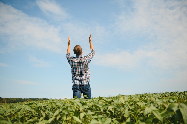Farmer agronomist in soybean field checking crops Organic food production and cultivation