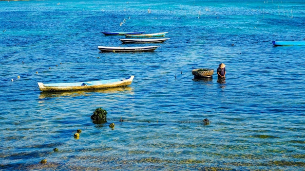 Farmer attaching small algae to a rope in algae fields in Lembongan island, Bali