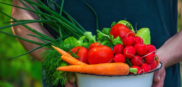 青い服を着た農夫は彼の手で熟した野菜を持っています