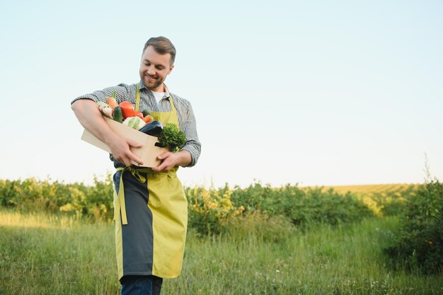 Farmer carrying box of picked vegetables