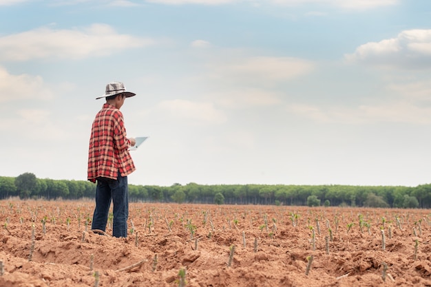 Agricoltore che controlla i progressi del campo di manioca, tenendo il tablet tramite internet.