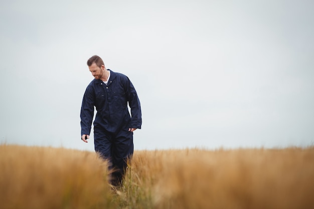 Farmer checking his crops