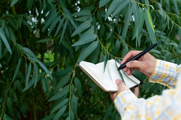 Farmer checking the quality of trees in the garden