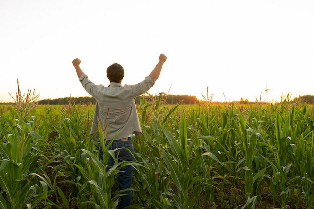 Farmer in a corn field raises his hands up his head raised to the sky enjoying his success