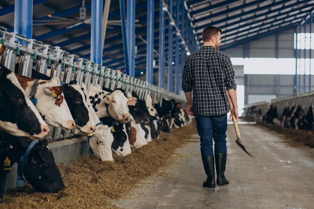 Farmer at cowshed with pitchfork cleaning up