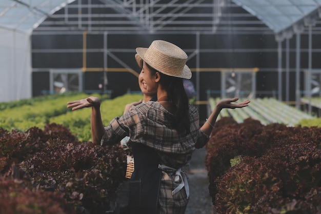 Photo farmer cultivate healthy nutrition organic salad vegetables in hydroponic agribusiness farmxa