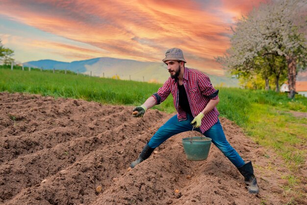 Photo a farmer cultivates the soil manual cultivation and care of crops