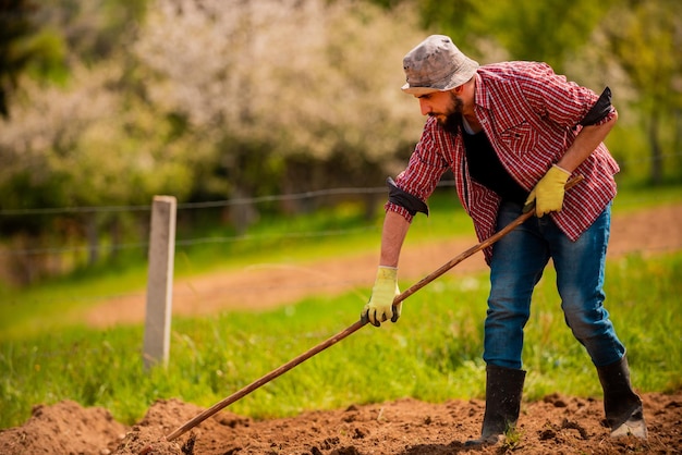 A farmer cultivates the soil Manual cultivation and care of crops