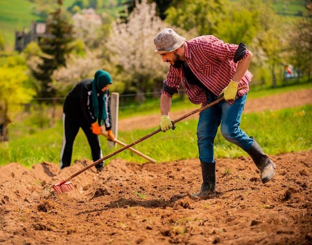 A farmer cultivates the soil Manual cultivation and care of crops