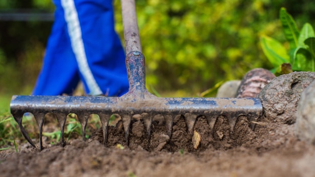 Farmer cultivating land in the garden with hand tools soil\
loosening gardening concept agricultural work on the\
plantation