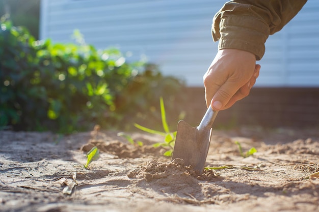 Farmer cultivating land in the garden with hand tools soil\
loosening gardening concept agricultural work on the\
plantation