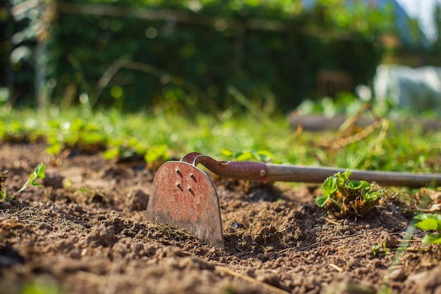 Фото Фермер обрабатывает землю в саду ручными инструментами рыхление почвы концепция садоводства сельскохозяйственные работы на плантации