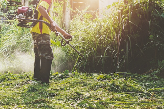 Photo farmer cuting grass at farm