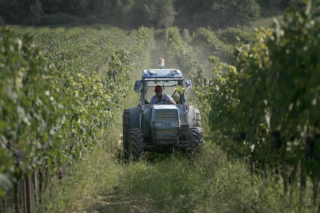farmer driving tractor on agricultural field