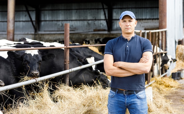 Фермер на ферме с молочными коровами