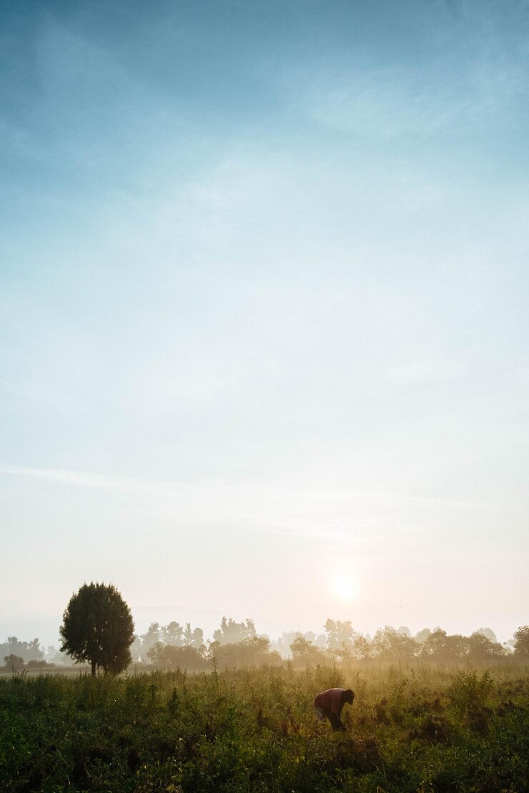 Farmer on field against sky
