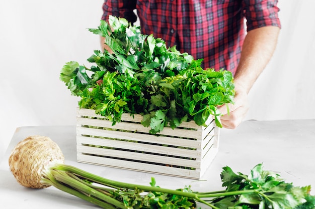 Farmer freshly herbs wooden box white table Harvesting