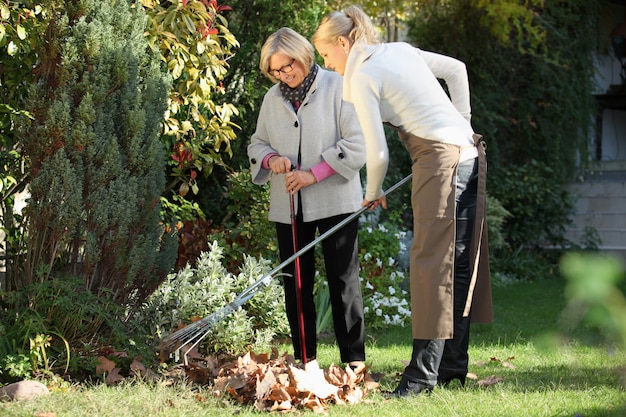 Foto abbellimento del giardiniere del giardiniere del coltivatore