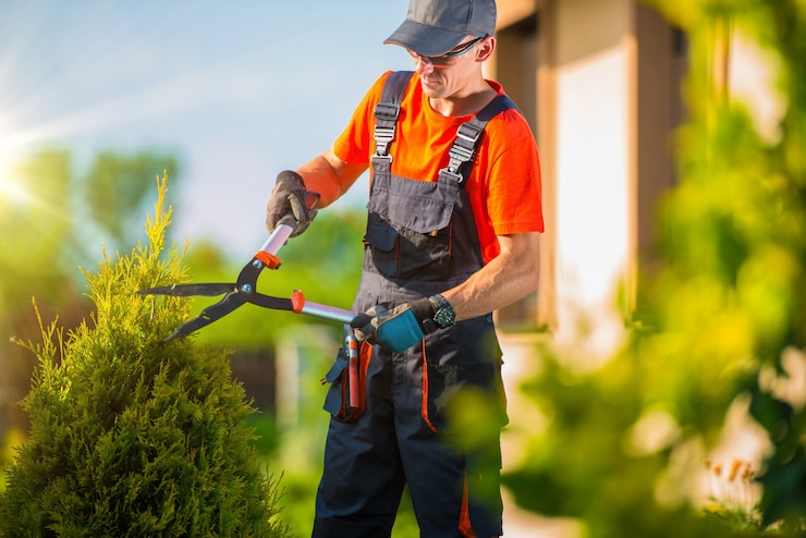  Farmer gardener