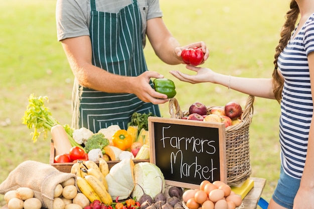 Farmer giving pepper to customer