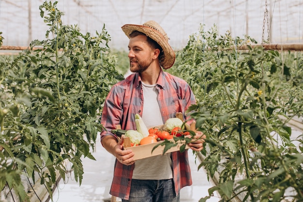 Farmer in greenhouse holding box of vegetables