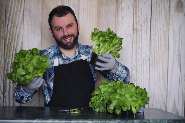 Фермер выращивает свежие листья салата для приготовления вкусных блюд.