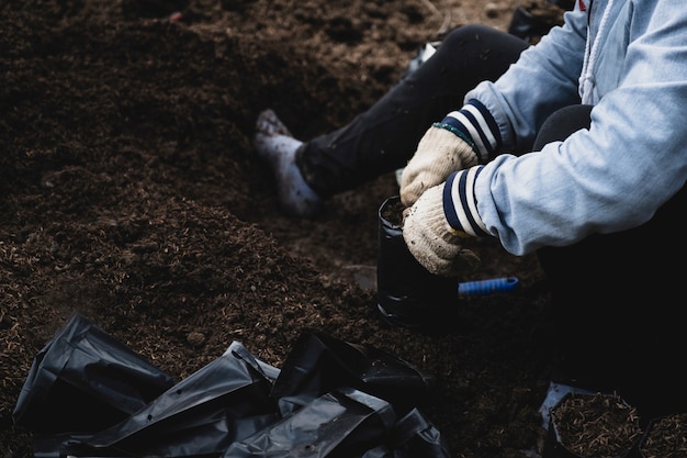 Le mani dell'agricoltore hanno messo la buccia di miscelazione del terreno nel sacchetto di plastica nero della scuola materna per preparare la piantina