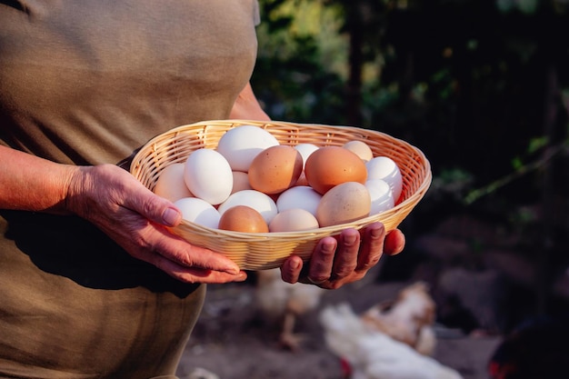 farmer hands holding fresh eggs