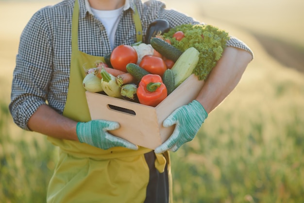 farmer hands holding wooden box with different vegetables