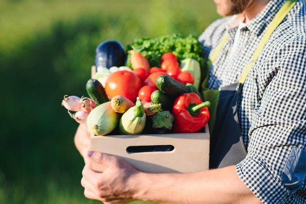 Photo farmer hands holding wooden box with different vegetables