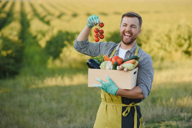 Farmer hands holding wooden box with different vegetables