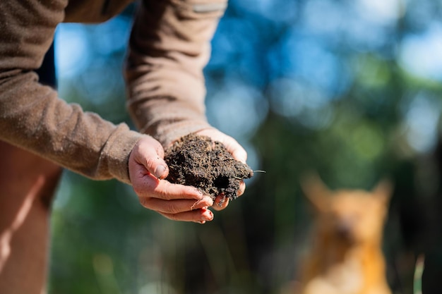 farmer hold soil in hands monitoring soil health on a farm conducting soil tests