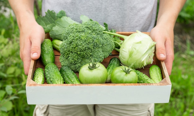 農家の緑の有機野菜の箱を保持しています。