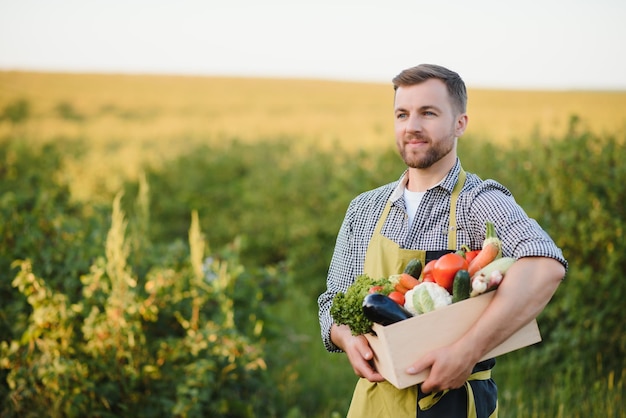 Scatola della holding dell'agricoltore con verdure biologiche