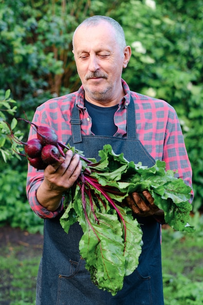 Farmer holding bunch of beetroot