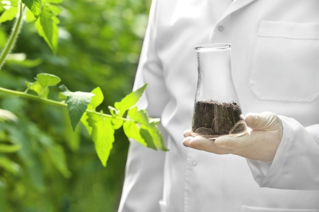 Farmer holding flask with soil in greenhouse