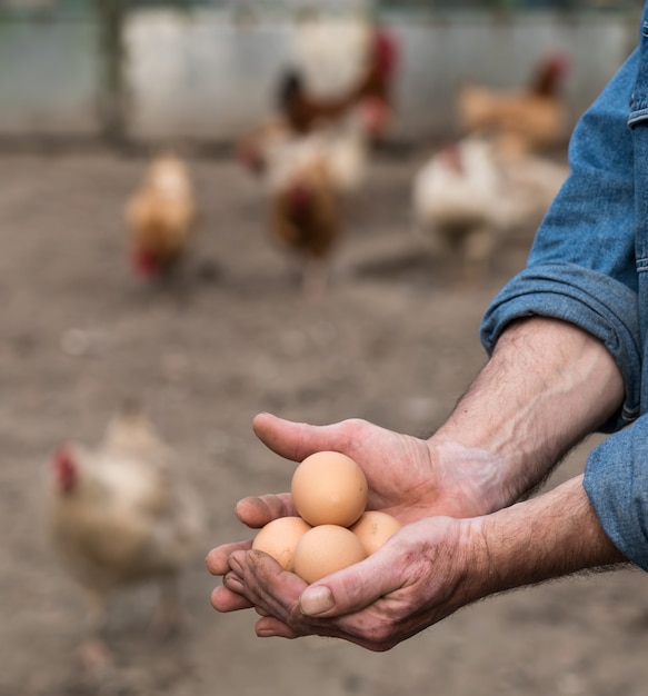 Farmer holding fresh organic eggs