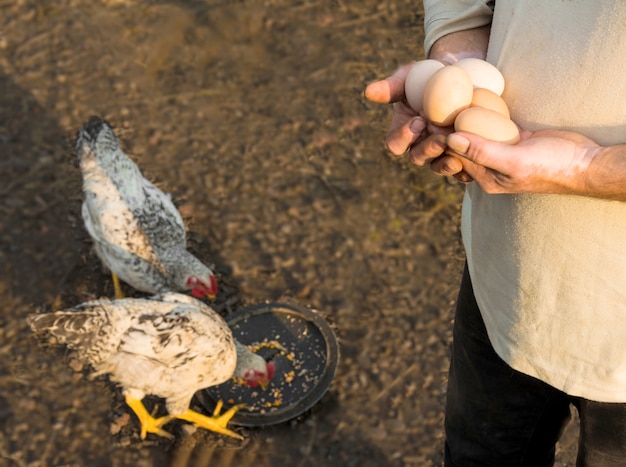 Farmer holding fresh organic eggs