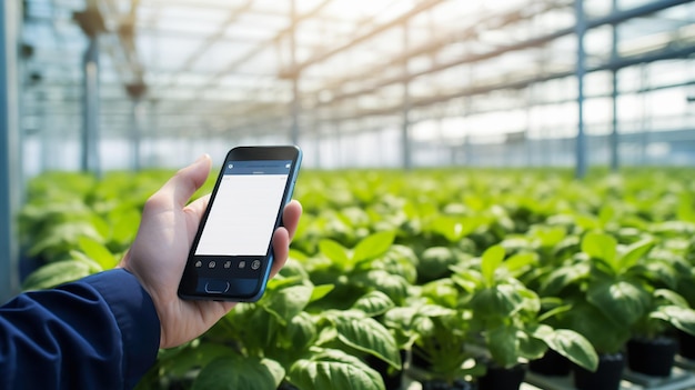 Farmer holding a smartphone in front of corn field Smart digital farming Plant growing control from smartphone