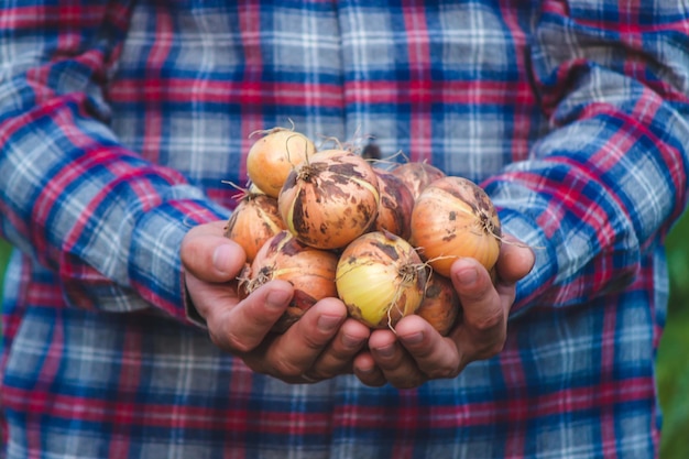 The farmer holds a bow in his hands