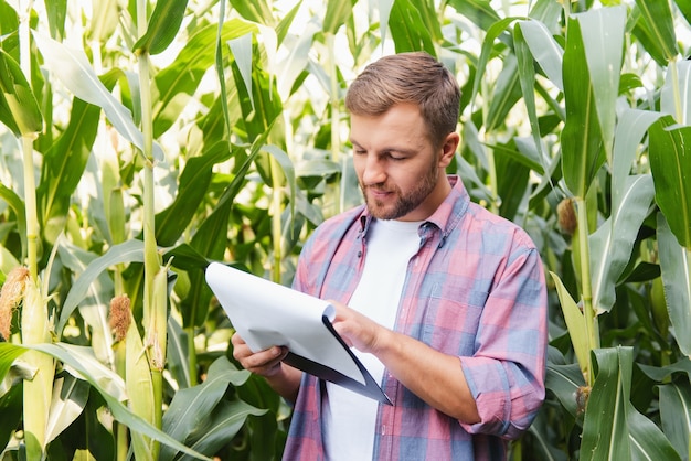 Фермер осматривает кукурузное поле и смотрит в сторону