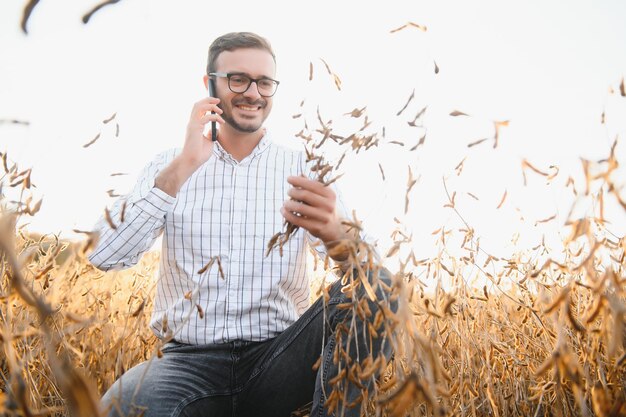 Foto un agricoltore ispeziona un campo di semi di soia il concetto del raccolto