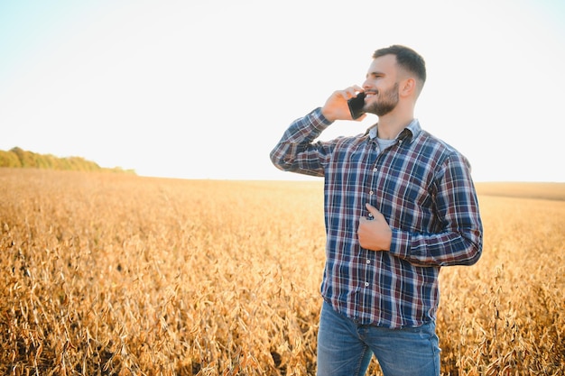 A farmer inspects a soybean field The concept of the harvest