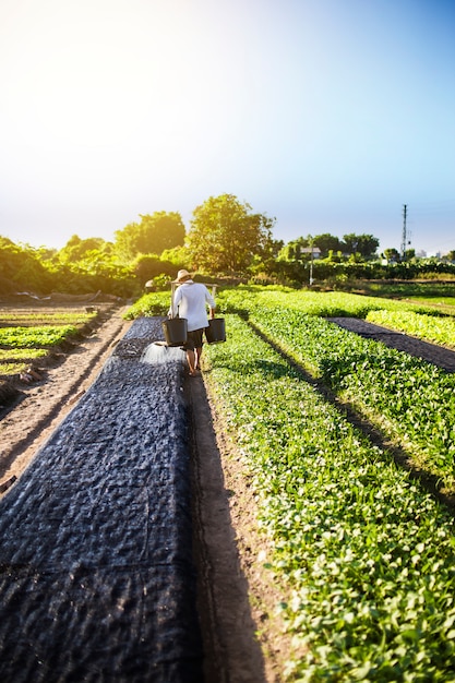 a farmer is watering the farm