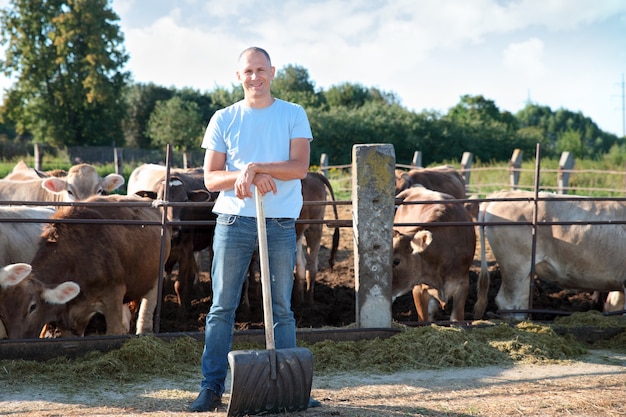 Farmer is working on the farm with dairy cows