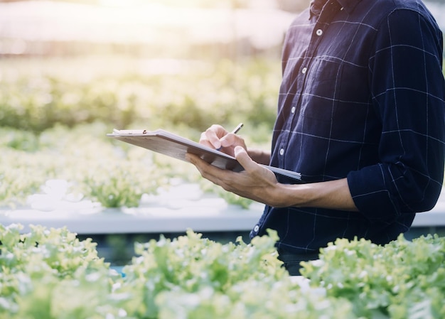 写真 温室で野菜の水耕栽培で品質を検査するラップトップを使用する農家の男性と女性野菜健康食品のコンセプト水力農産物を育てる技術を使用したスマートファーム